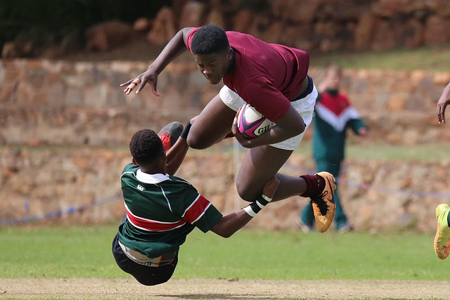 可以看到他 可以看到他